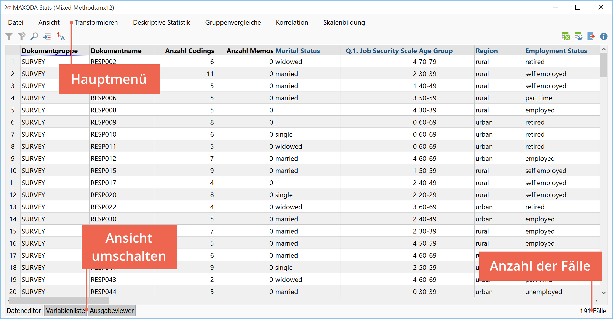 Die Oberfläche von MAXQDA Stats Die Oberfläche von MAXQDA Stats
