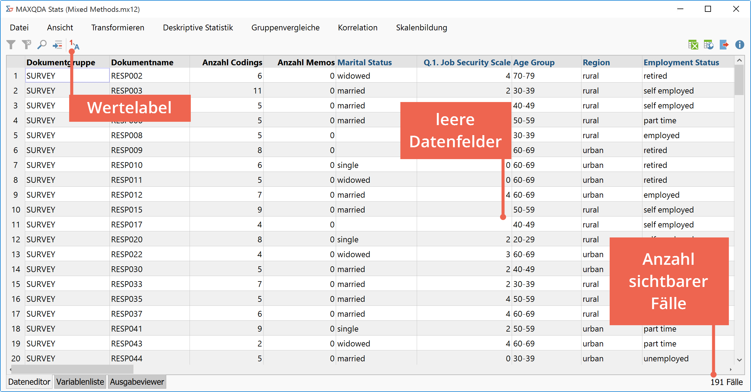 Der Dateneditor von MAXQDA Stats Der Dateneditor von MAXQDA Stats