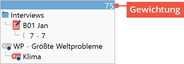 Angabe der Gewichtung im Fenster „Liste der Codings“ Angabe der Gewichtung im Fenster „Liste der Codings“