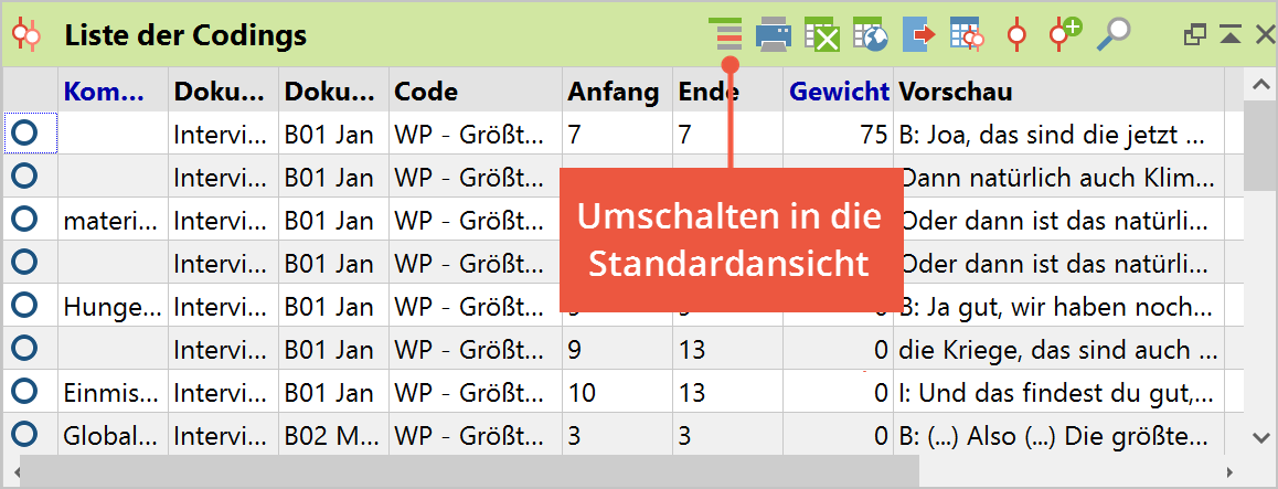Die „Liste der Codings“ in tabellarischer Ansicht Die „Liste der Codings“ in tabellarischer Ansicht