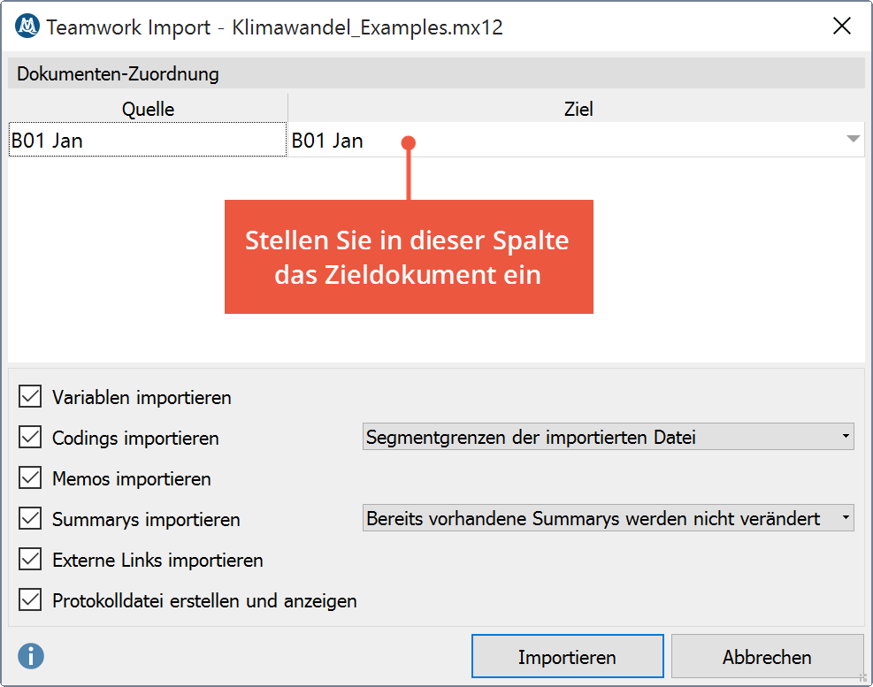 Optionen beim Teamwork Import Optionen beim Teamwork Import