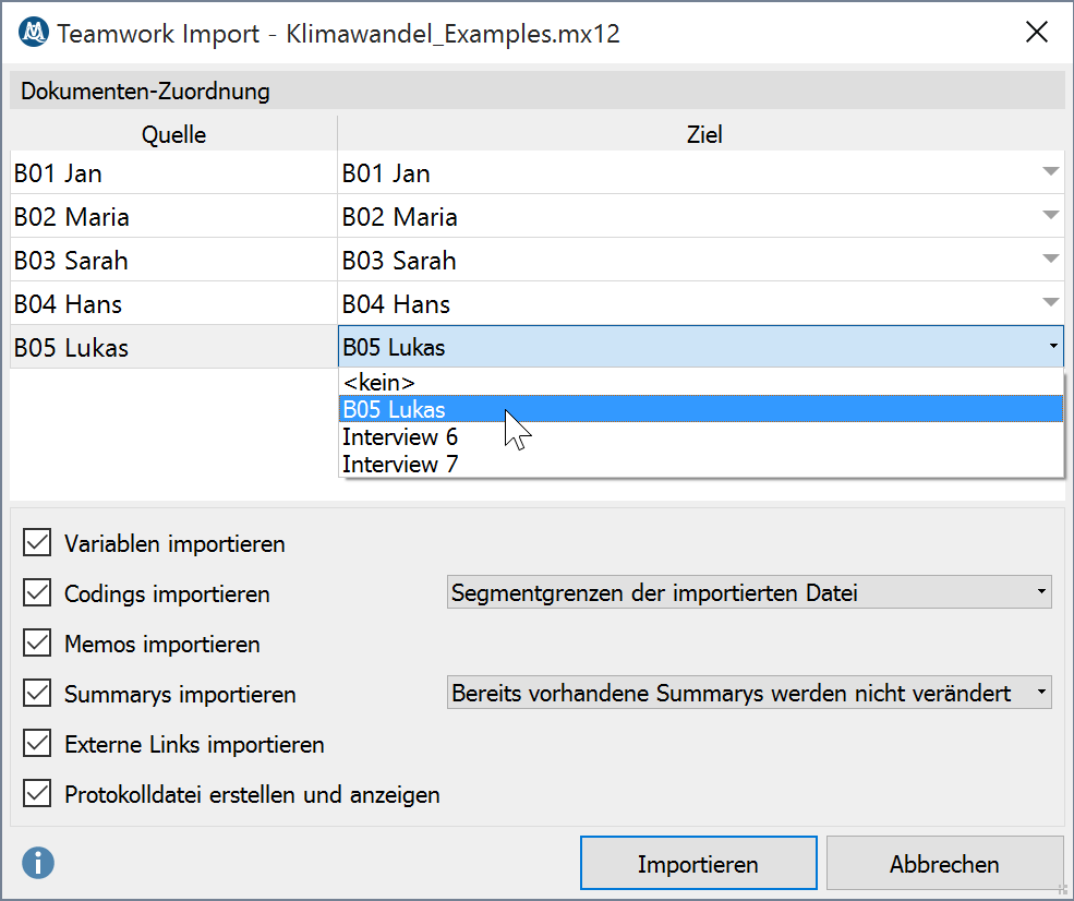 Optionen beim Teamwork Import für Dokumentgruppen Optionen beim Teamwork Import für Dokumentgruppen