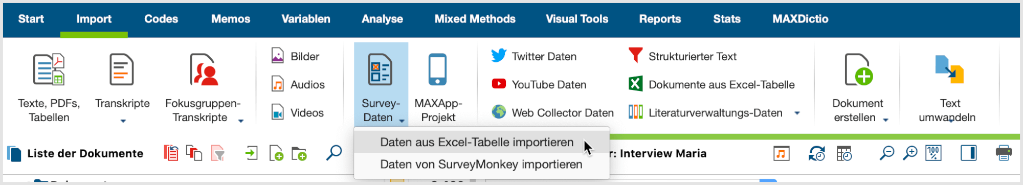 Import von Survey-Daten auf dem Tab 'Import' aufrufen. Import von Survey Daten auf dem Import Tab