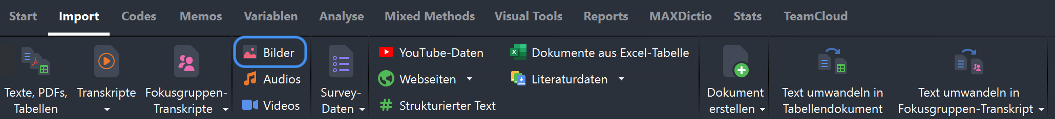 Datenimport starten über den Tab „Import“ Datenimport starten über den Tab „Import“