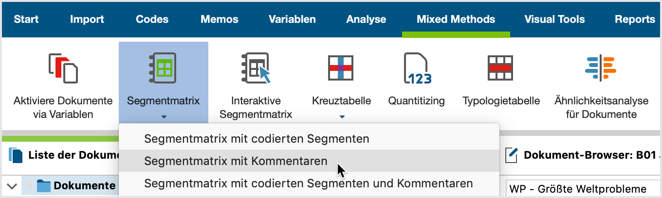 Segmentmatrix mit Kommentaren im Tab „Mixed Methods“ aufrufen Segmentmatrix mit Kommentaren im Tab „Mixed Methods“ aufrufen