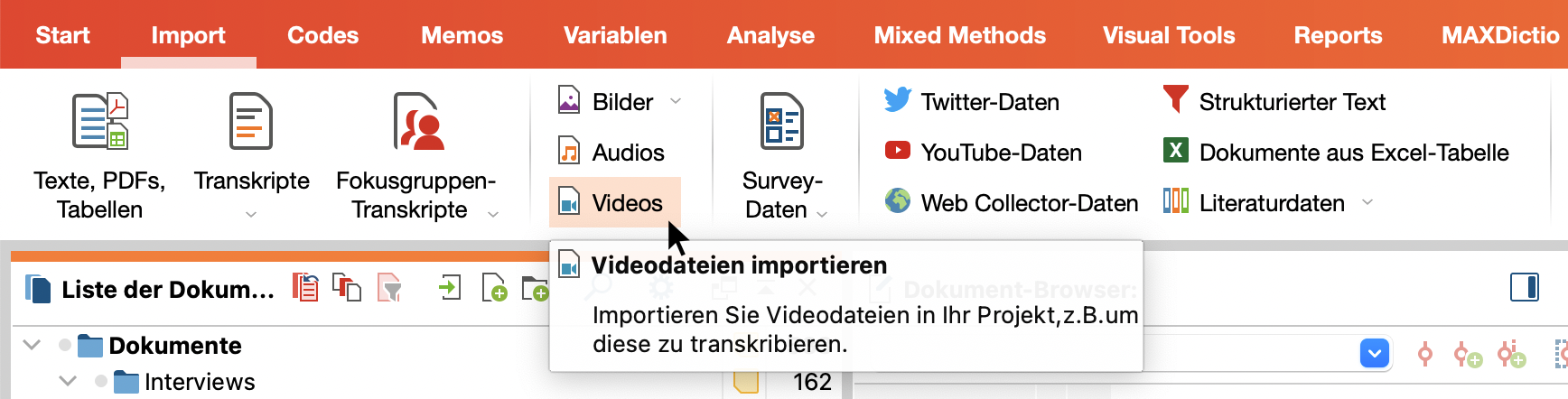 Datenimport starten über den Tab „Import“