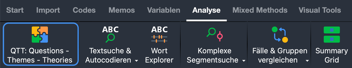 Questions – Themes – Theories im Tab „Analyse“ öffnen Questions – Themes – Theories im Tab „Analyse“ öffnen