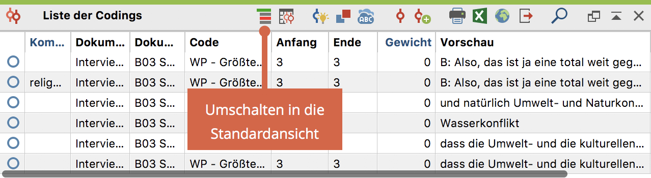 Die „Liste der Codings“ in tabellarischer Ansicht Die „Liste der Codings“ in tabellarischer Ansicht