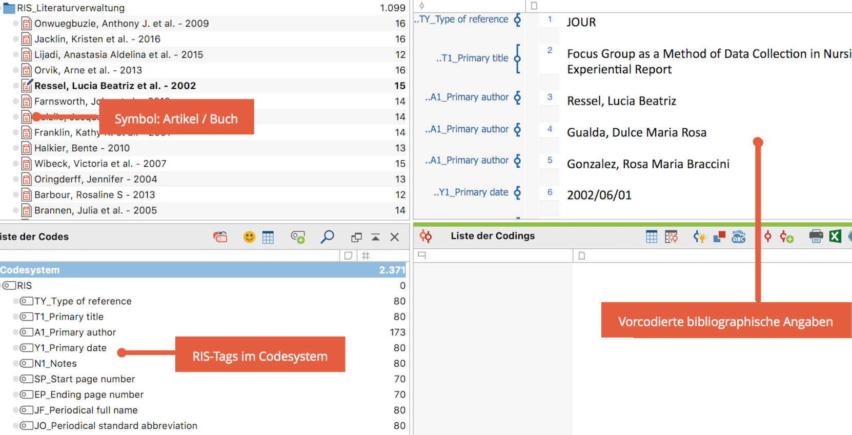 RIS-Datei nach dem Import in MAXQDA RIS-Datei nach dem Import in MAXQDA