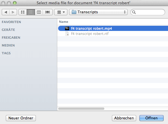 Transkript importieren