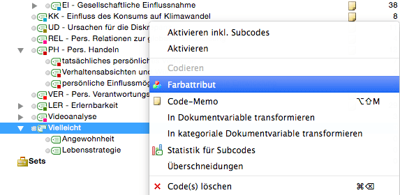 MAXQDA Farbe