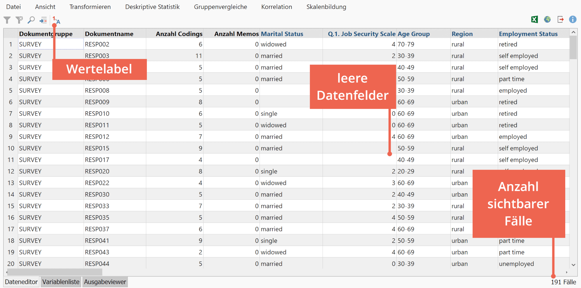 Der Dateneditor von MAXQDA Stats Der Dateneditor von MAXQDA Stats