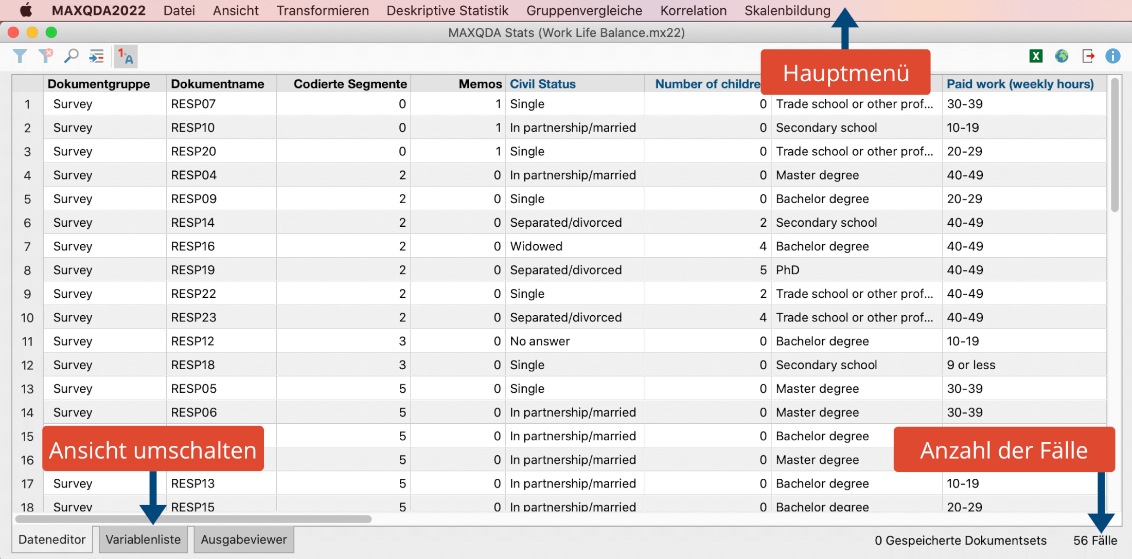 Die Oberfläche von MAXQDA Stats Die Oberfläche von MAXQDA Stats