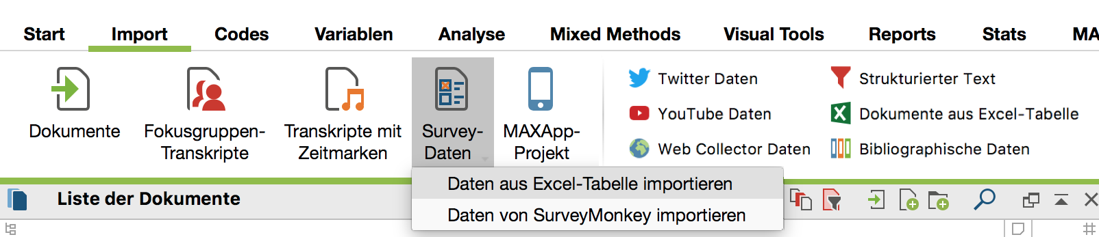 Import von Survey-Daten auf dem Tab 'Import' aufrufen. Import von Survey Daten auf dem Import Tab