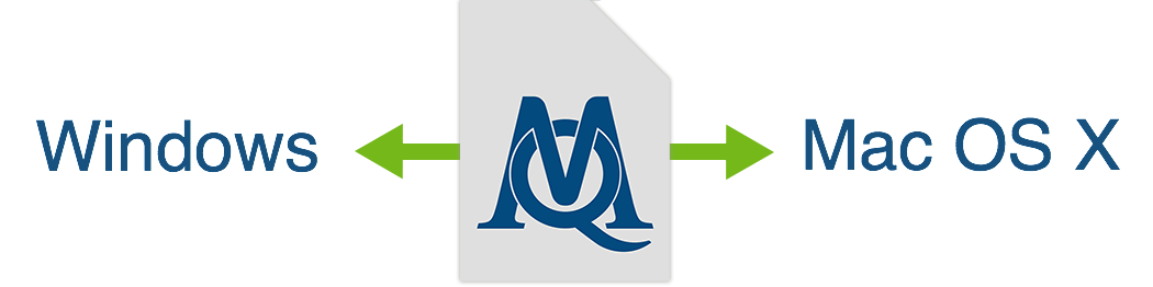 Exhange files between MAXQDA
