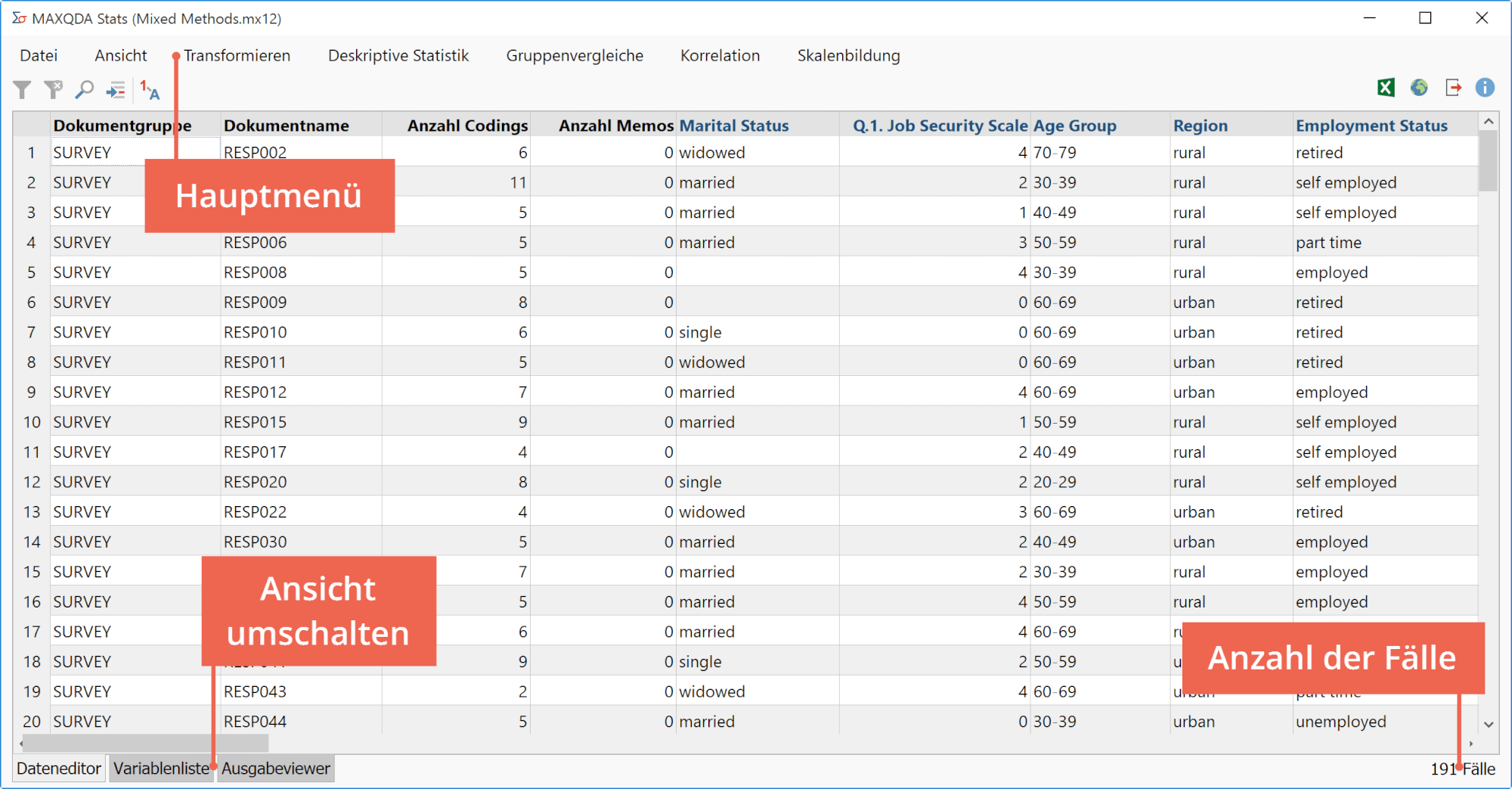 Die Oberfläche von MAXQDA Stats Die Oberfläche von MAXQDA Stats