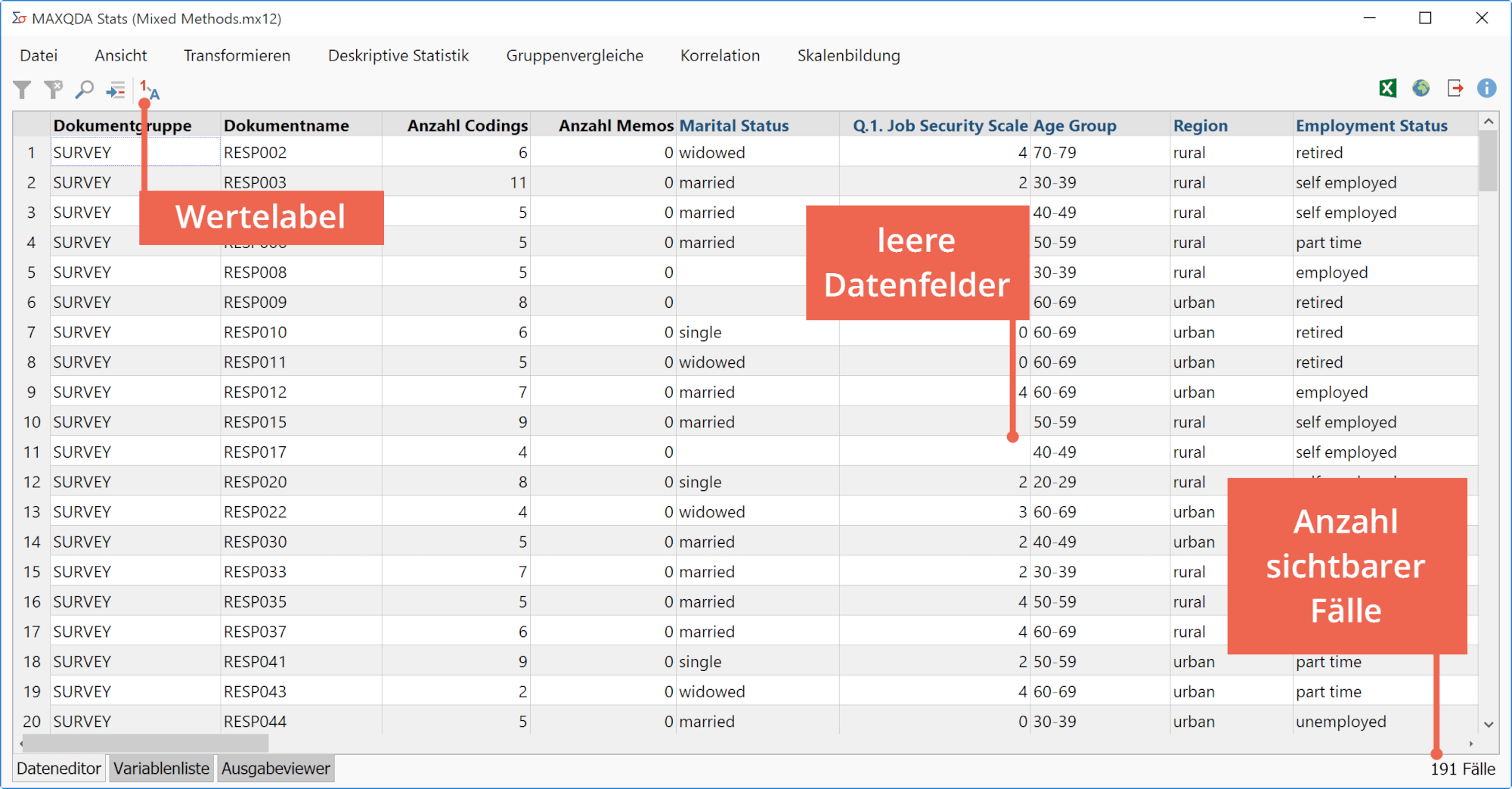 Der Dateneditor von MAXQDA Stats Der Dateneditor von MAXQDA Stats