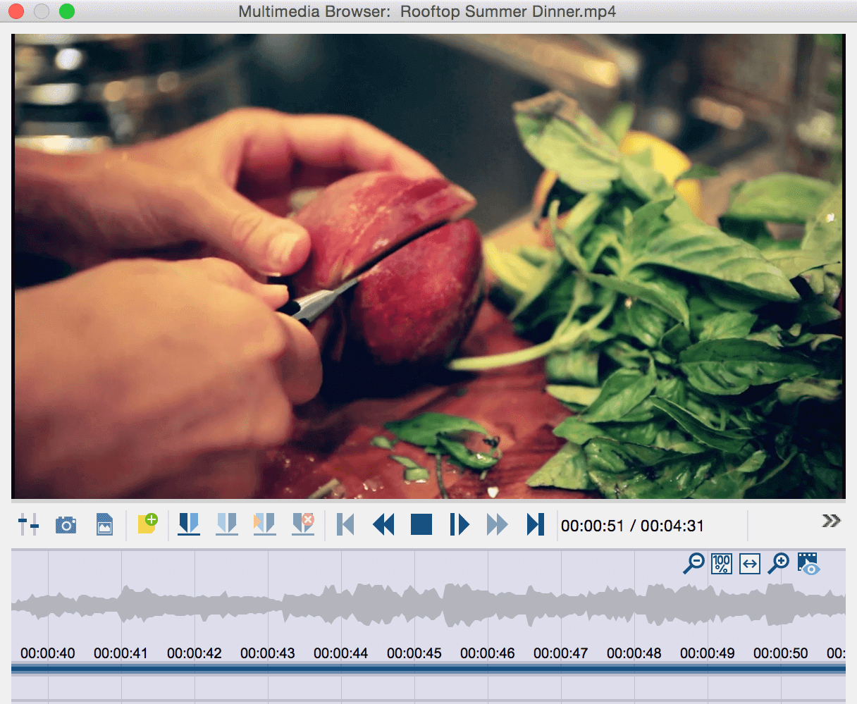 MAXQDA Multimedia Browser