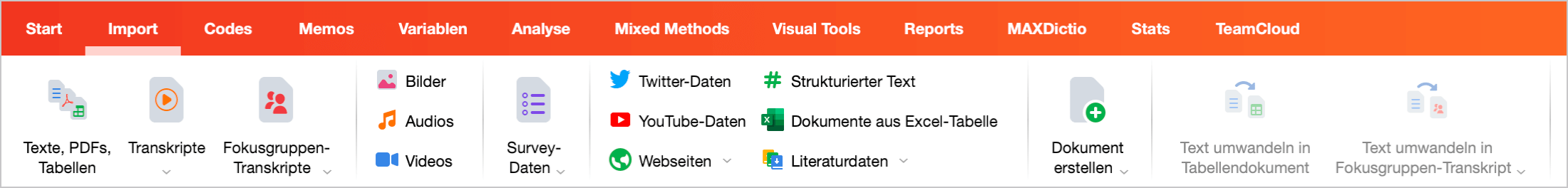 Der Tab Import