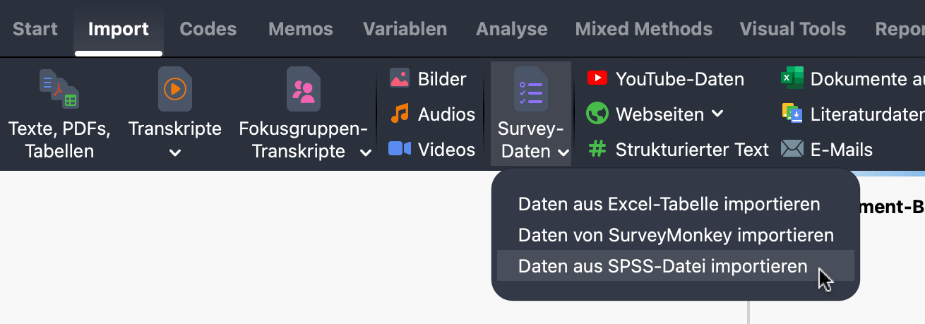 MAXQDA Daten aus SPSS-Datei importieren Screenshot des MAXQDA-Menüpunkts Import > Survey-Daten > Daten aus SPSS-Datei importieren