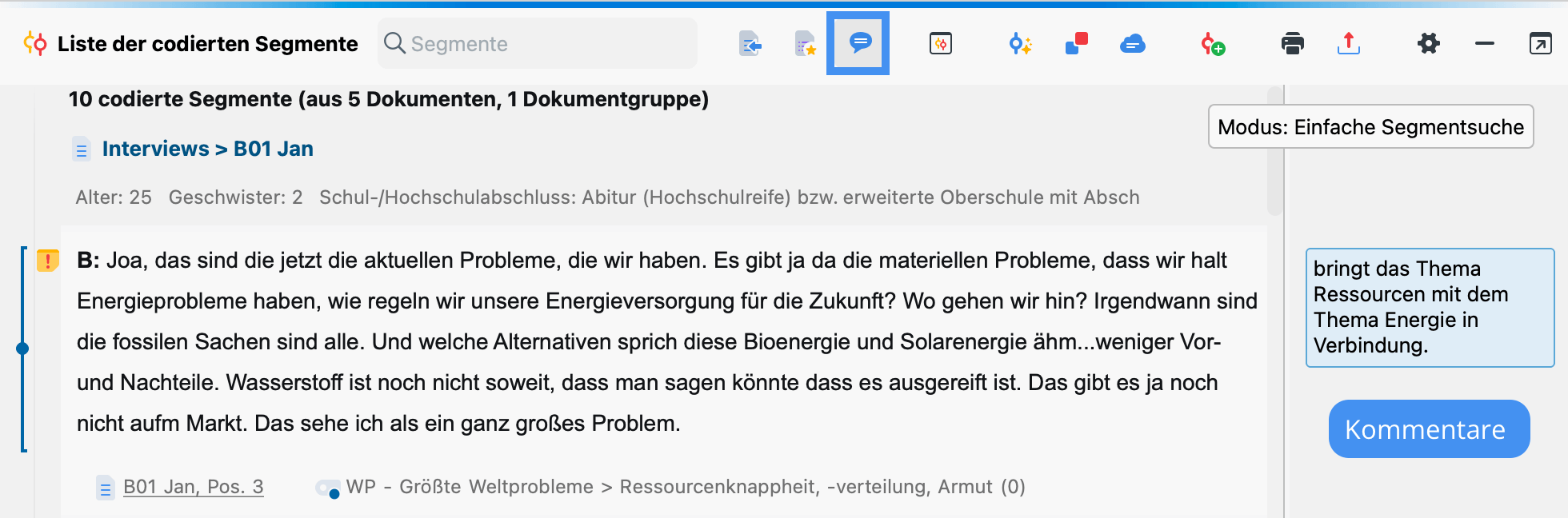 Kommentarspalte in der „Liste der codierten Segmente“ Kommentarspalte in der „Liste der codierten Segmente“