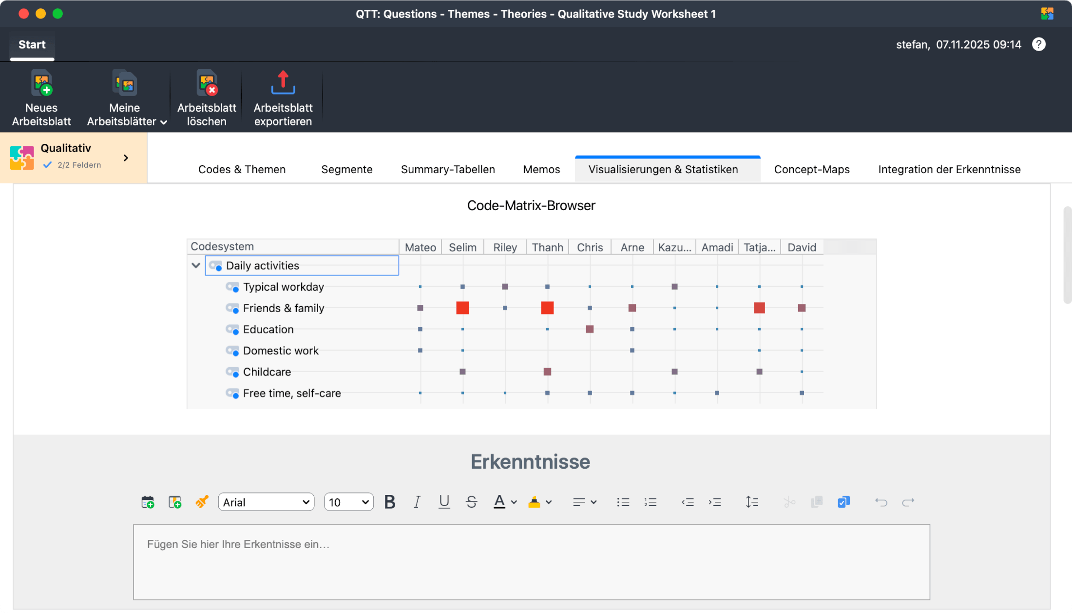 Bild des „Code Matrix Browsers“ eingefügt in den QTT-Abschnitt „Visuals & Statistiken“ eines Arbeitsblatts für qualitative Studien
