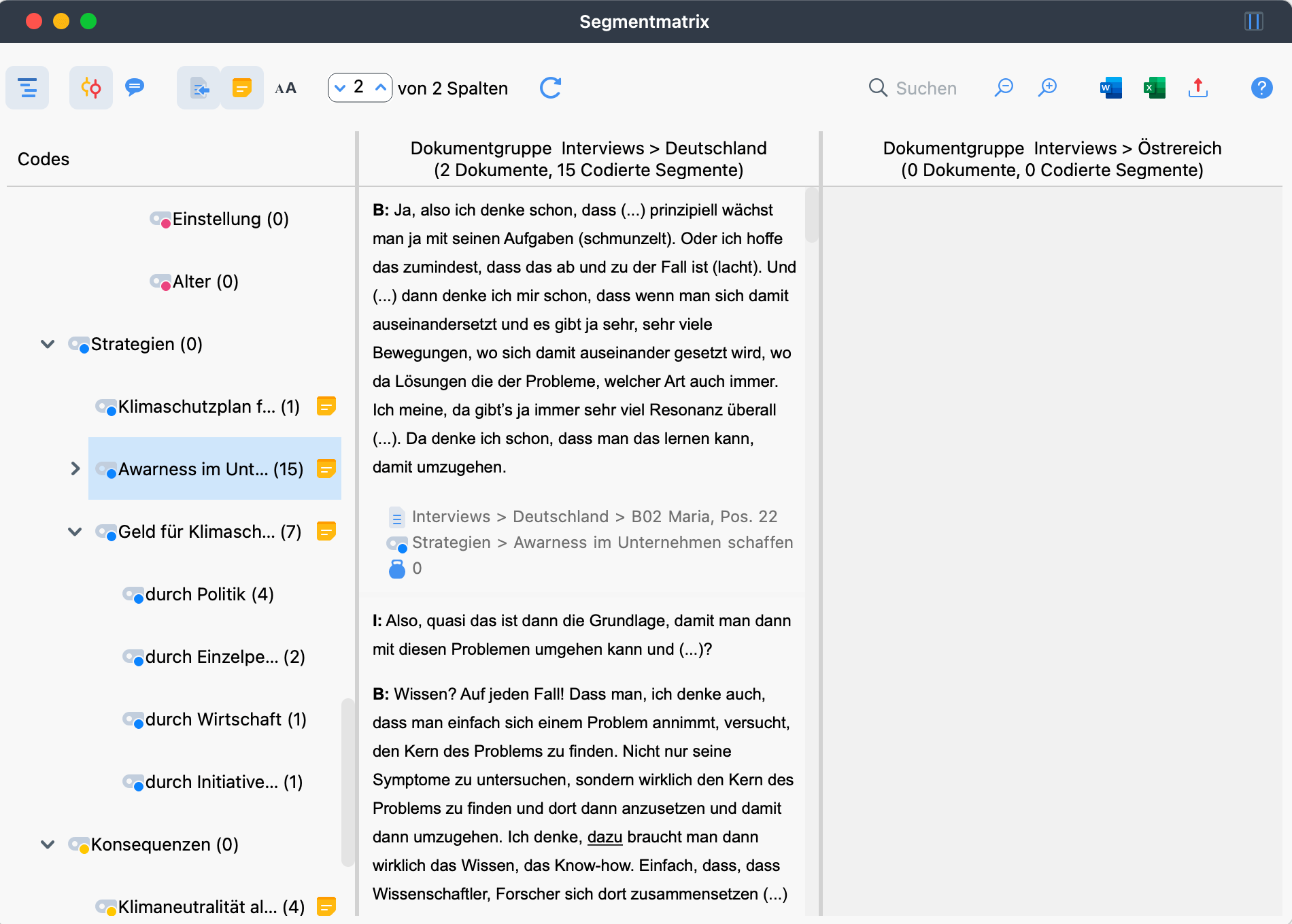Axiales Kodieren - Segment-Matrix: Gruppen vergleichen