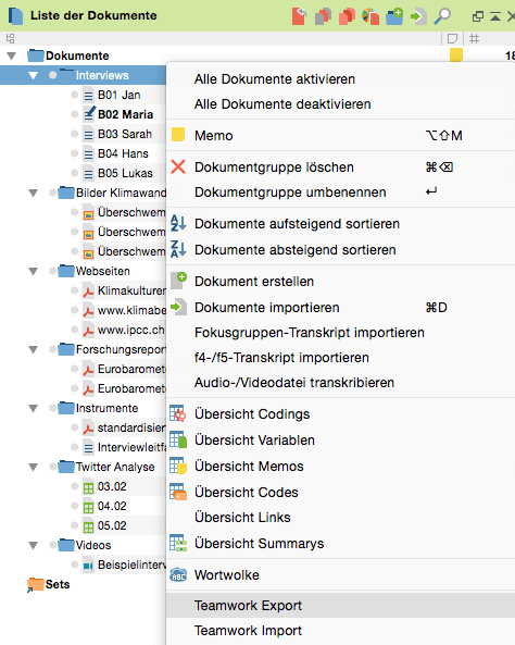 MAXQDA Teamwork Export