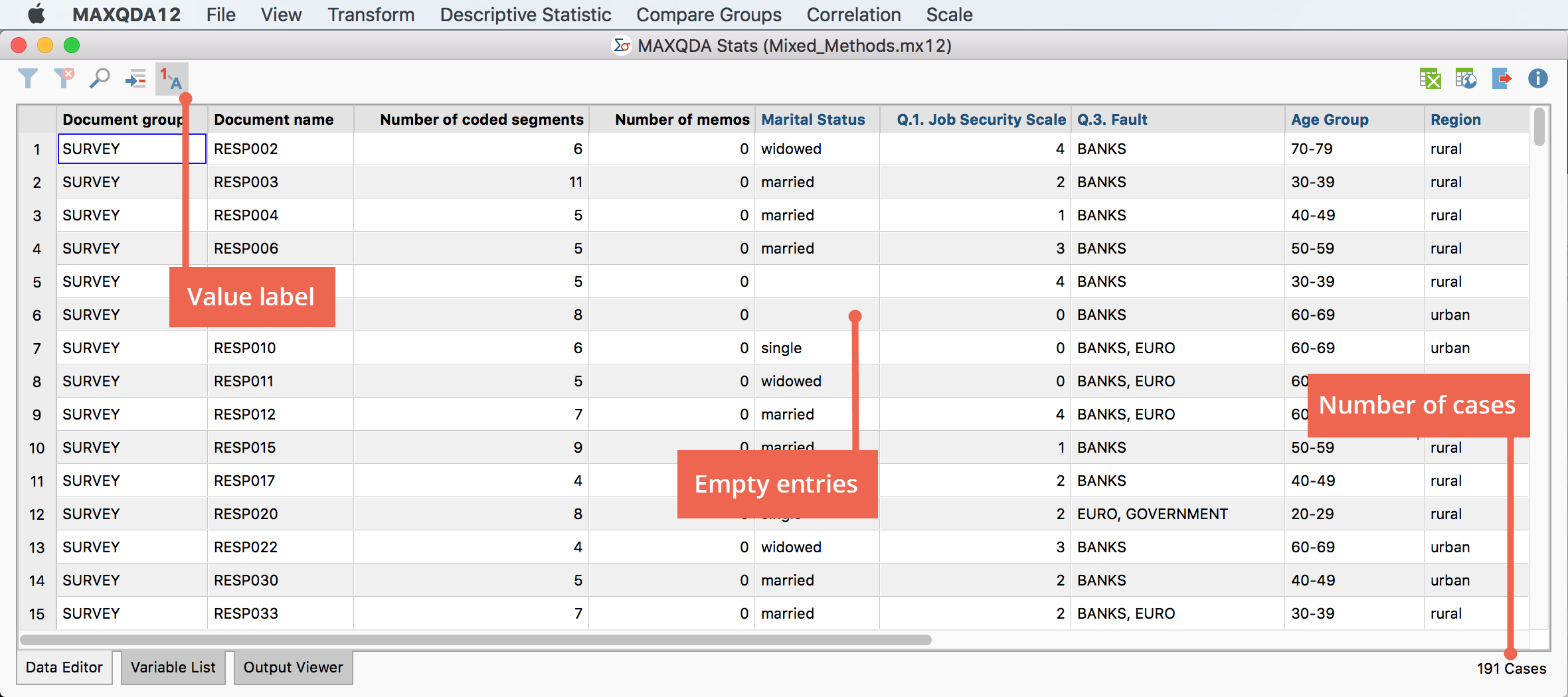 The MAXQDA Stats Data Editor The MAXQDA Stats Data Editor