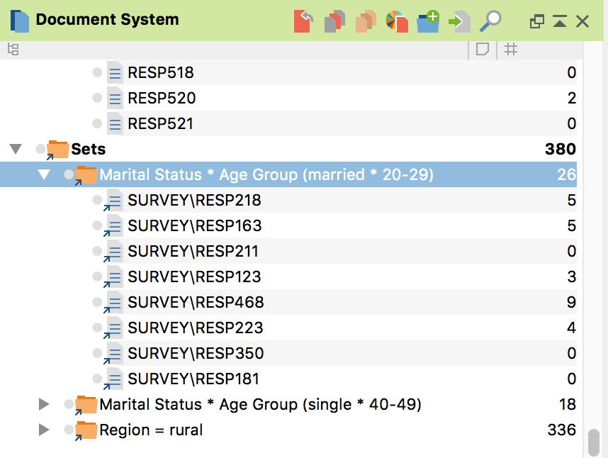 Inserted document sets in the “Document System” window of a MAXQDA project Inserted document sets in the “Document System” window of a MAXQDA project