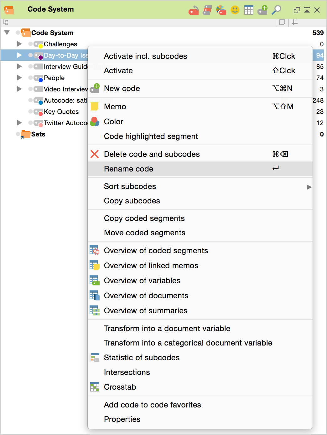 Context menu on the code/subcode level Context menu on the code/subcode level