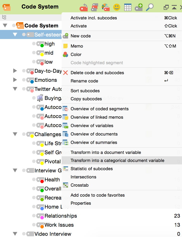 Calling up the “Transform into a categorical doc-variable” function in a code’s context menu Calling up the “Transform into a categorical doc-variable” function in a code’s context menu