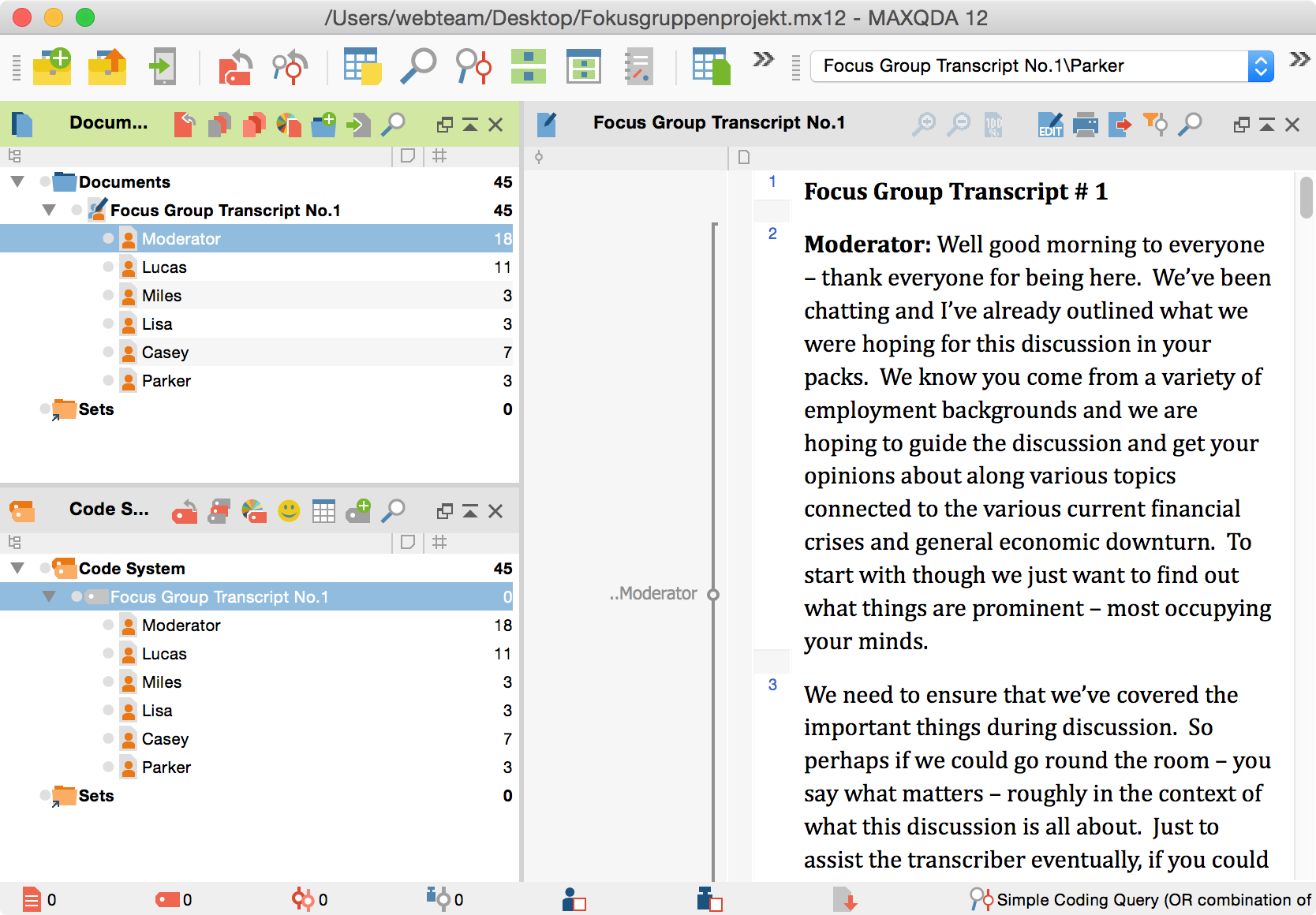 MAXQDA view after importing a focus group transcript [must be able to view Document System, Code System and Document Browser with the above transcript]
