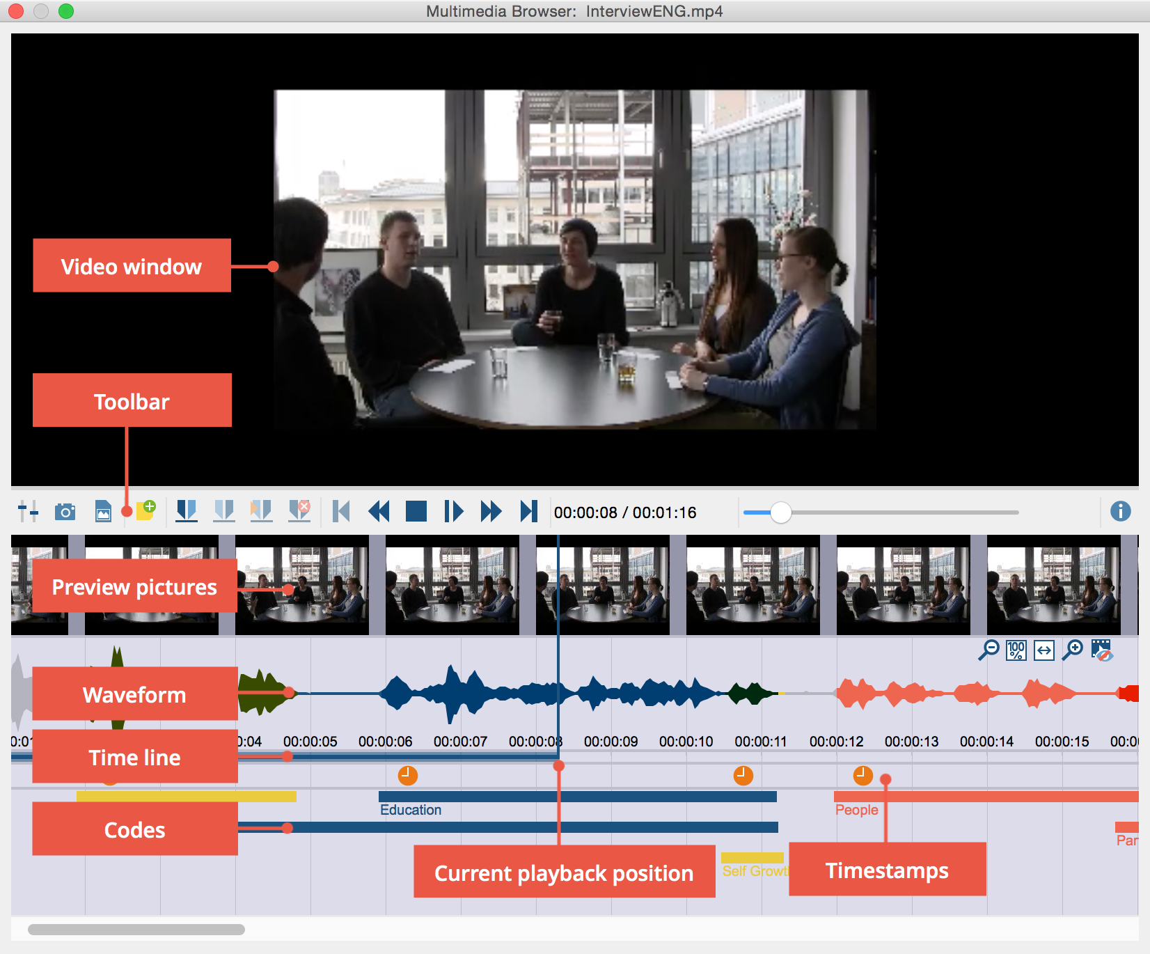 The Multimedia Browser window The Multimedia Browser window