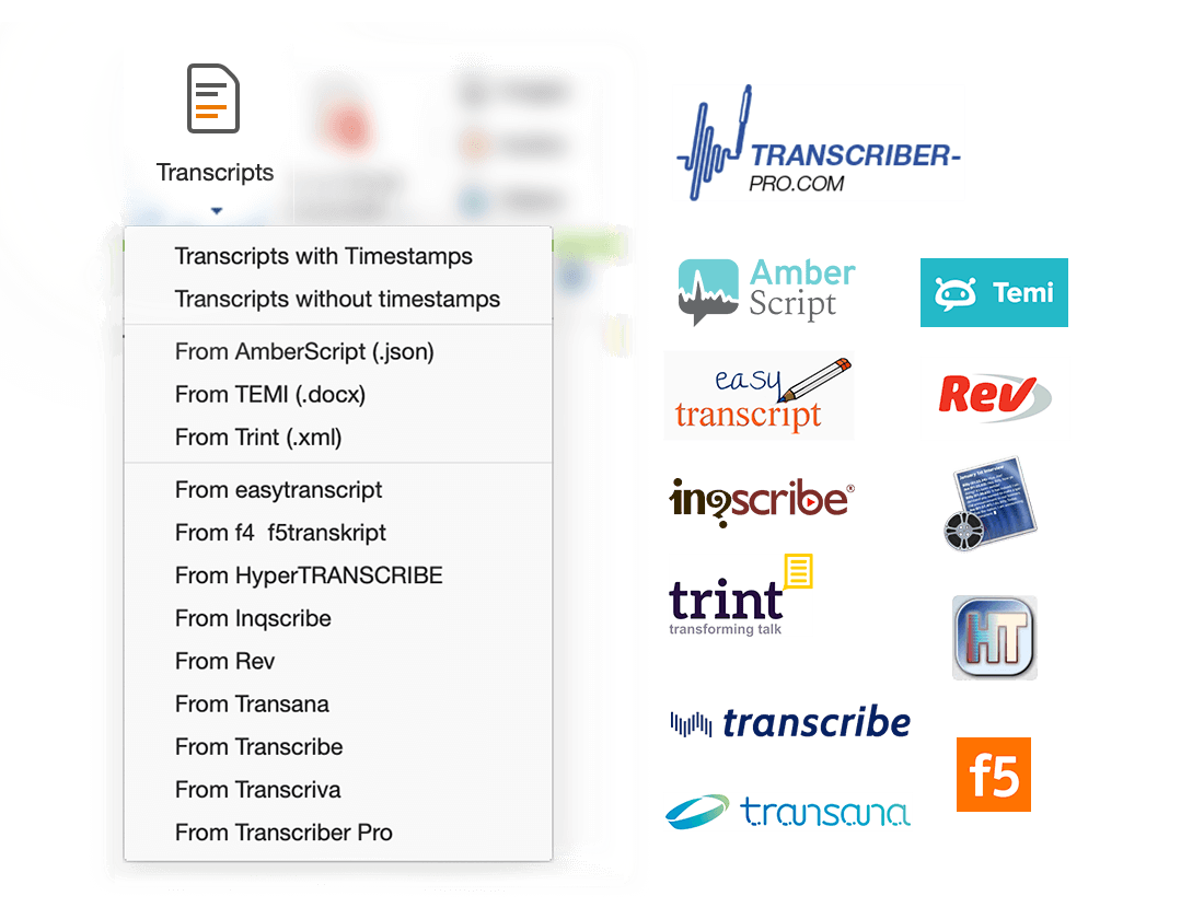 Transcript Imports in MAXQDA 2020