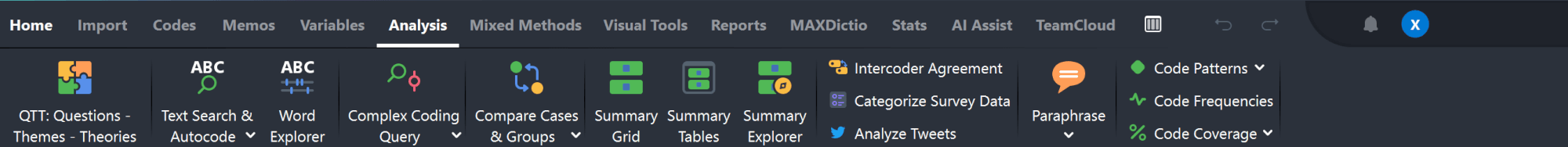 MAXQDA's main menu MAXQDA's main menu