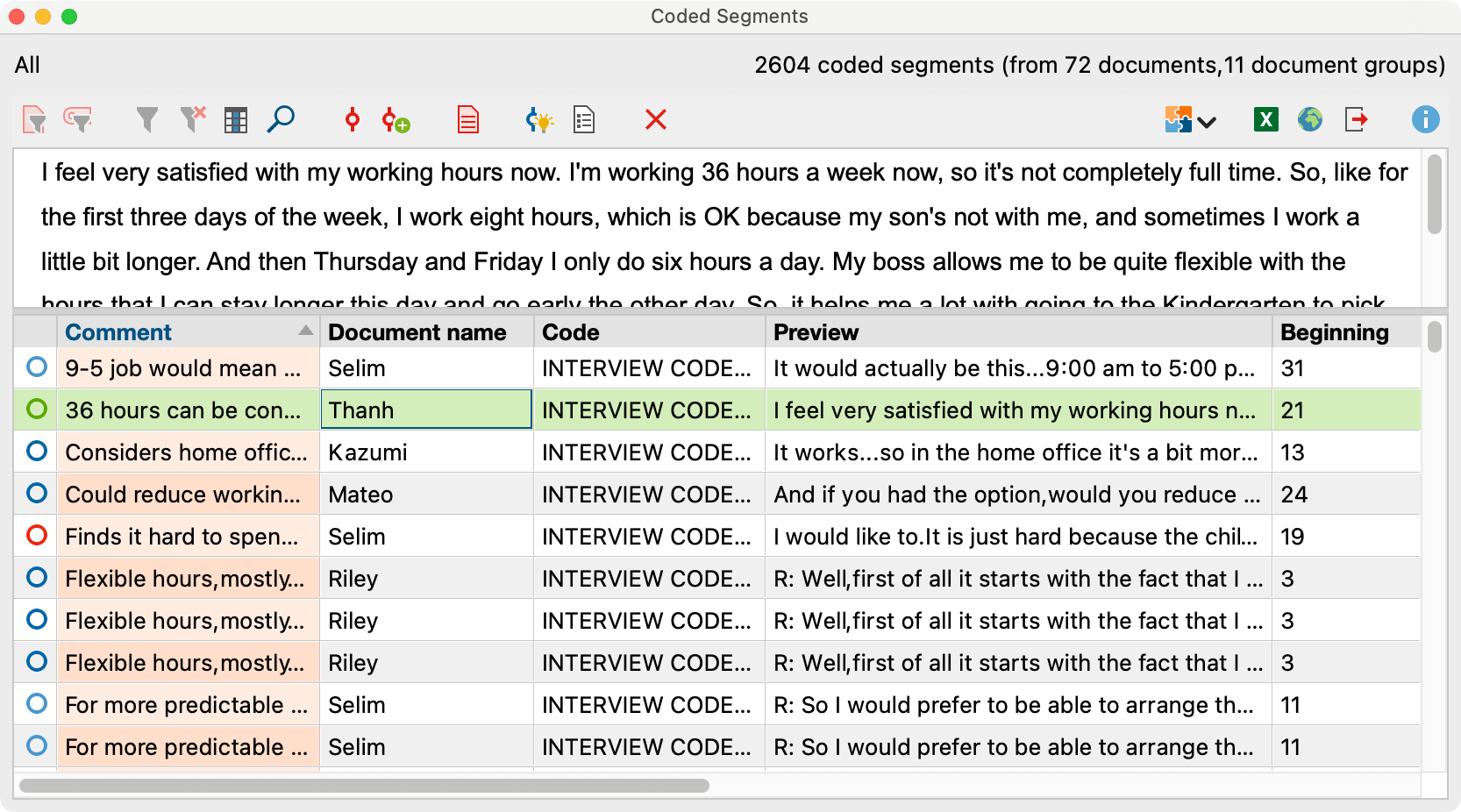 Detailed view of the “Overview of Coded Segments” Detailed view of the “Overview of Coded Segments”