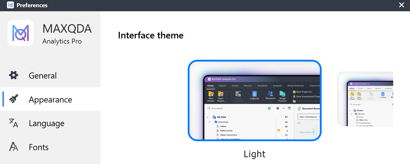 MAXQDA interface theme options