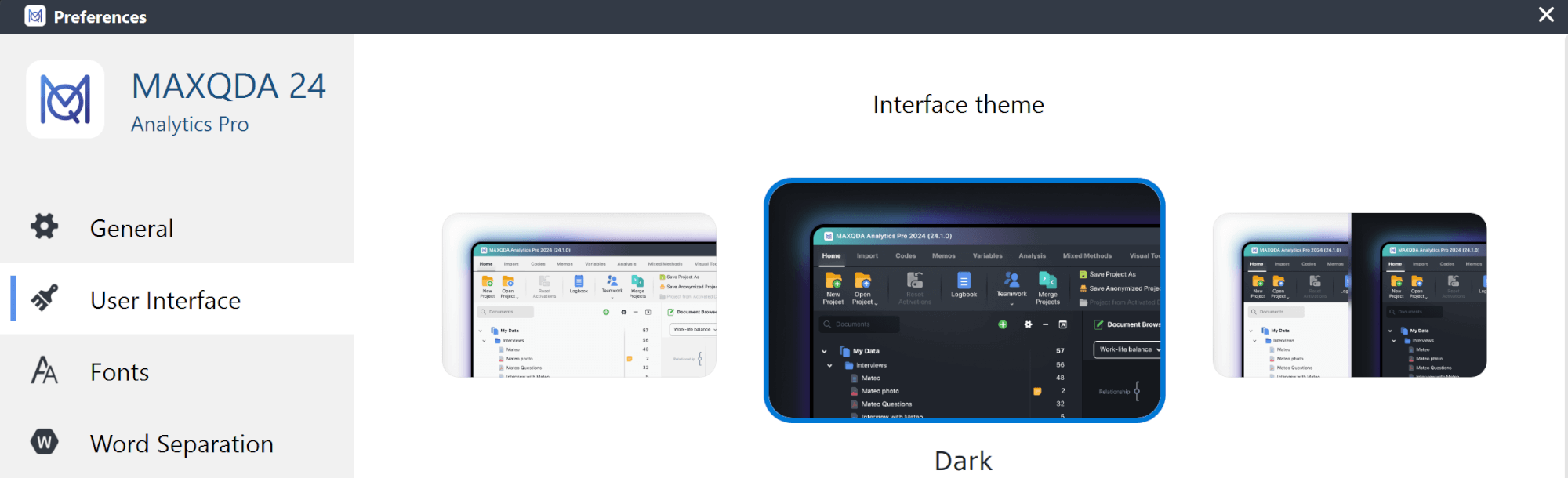 Theme options MAXQDA interface theme options