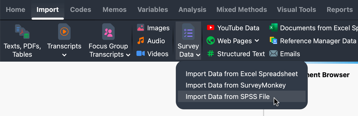 MAXQDA Import Data from SPSS File menu option Screenshot des MAXQDA-Menüpunkts Import > Survey-Daten > Daten aus SPSS-Datei importieren