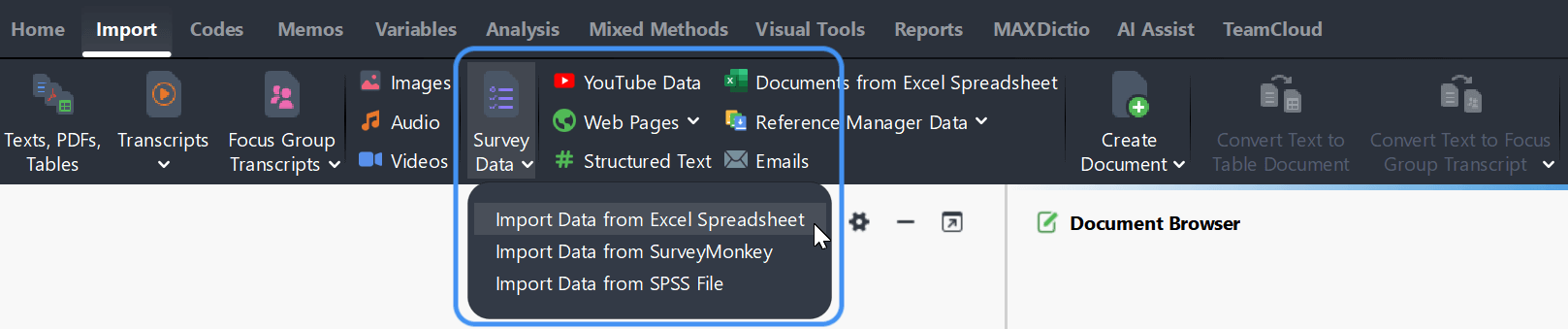 Import survey data from Excel files Screenshot of MAXQDA's Import menu with the option to Import survey data from Excel spreadsheets in focus