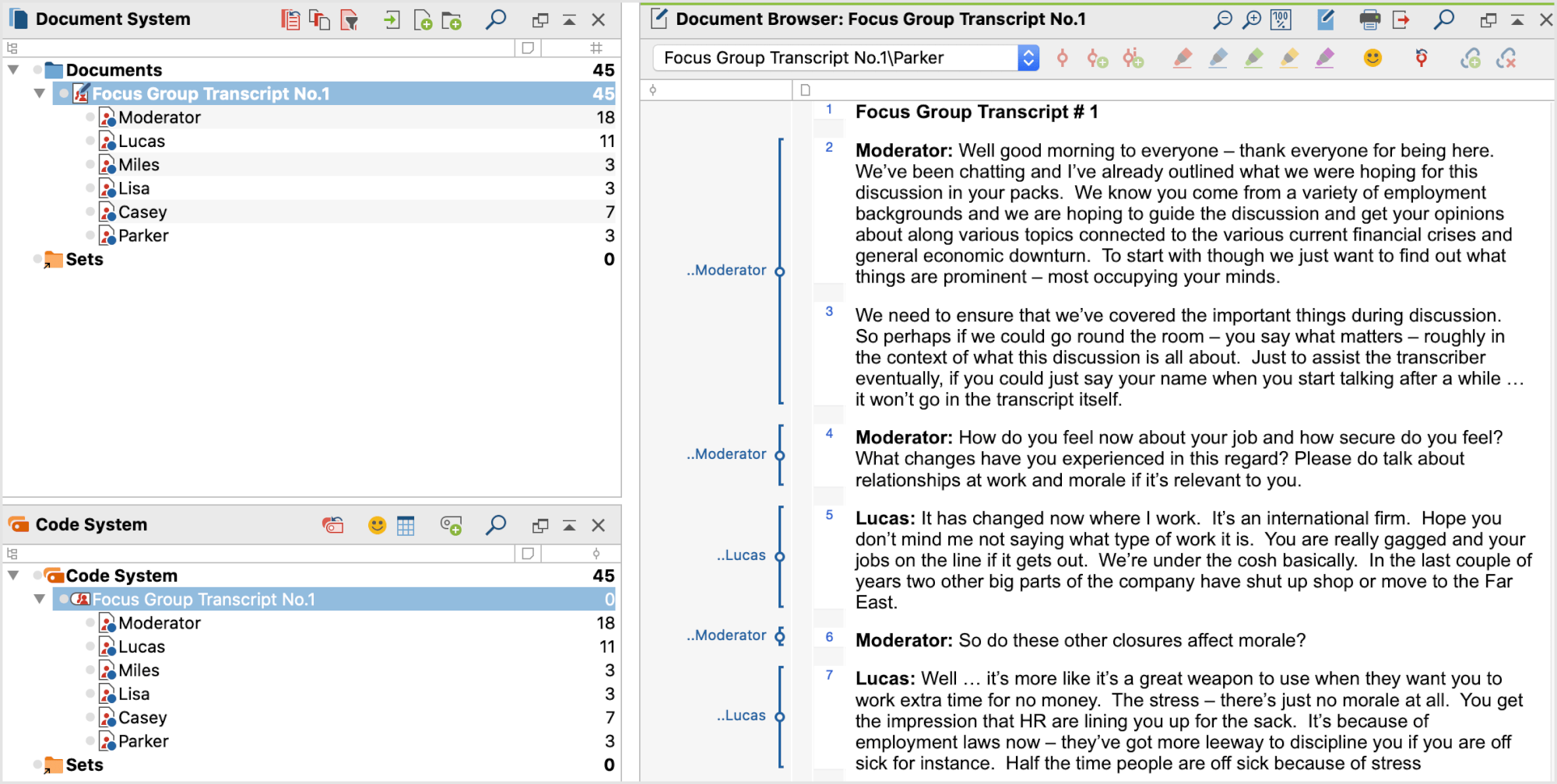 MAXQDA view after importing a focus group transcript [must be able to view Document System, Code System and Document Browser with the above transcript]