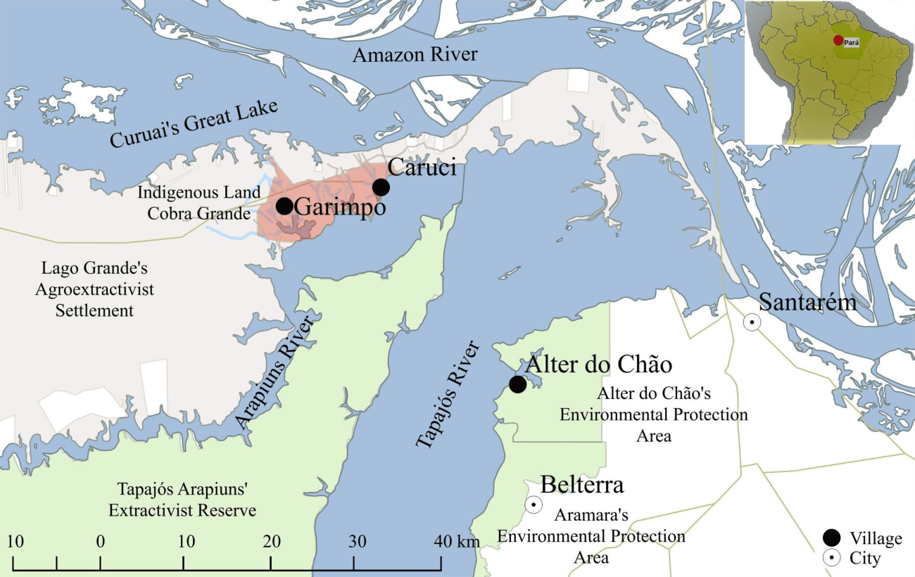 Analyzing word frequencies: Research area map
