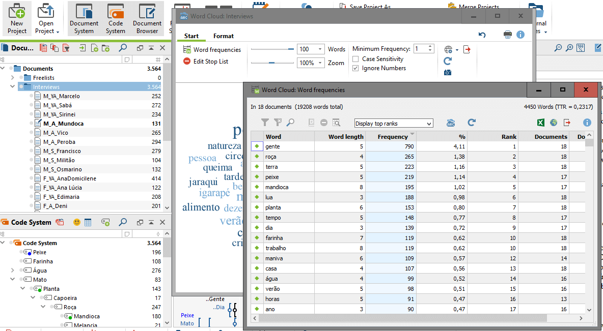 Analyzing word frequencies: Word Frequencies using MAXQDA's Word Cloud Feature