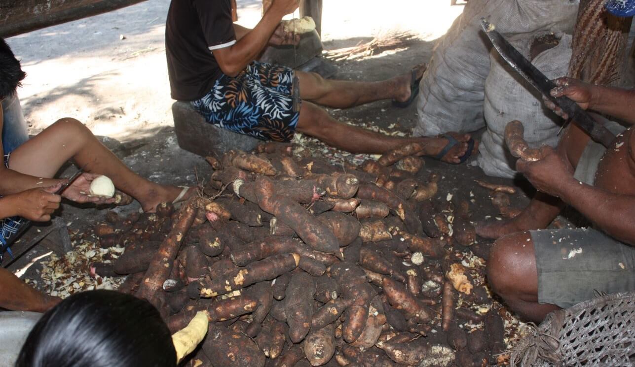 Family peeling roots