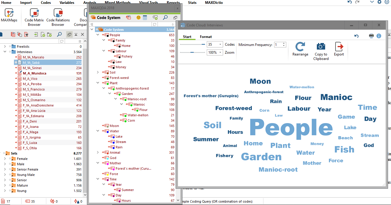 Analyzing word frequencies: Document System, Code System, and Code Cloud
