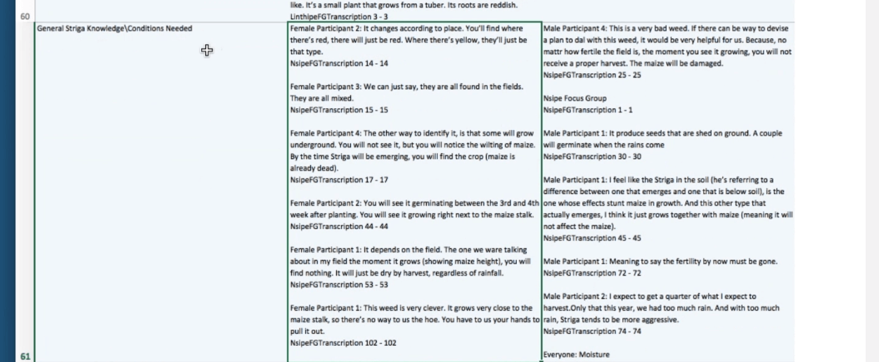 MAXQDA Report Tools