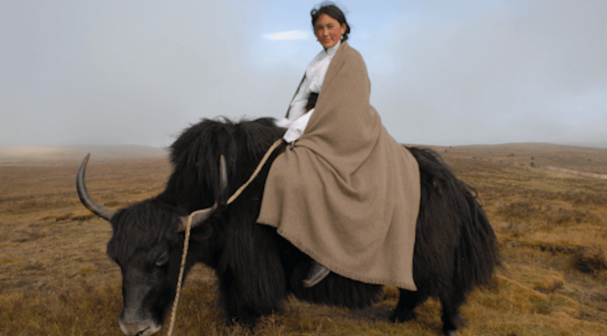 Ethnographic study: Norlha Textiles