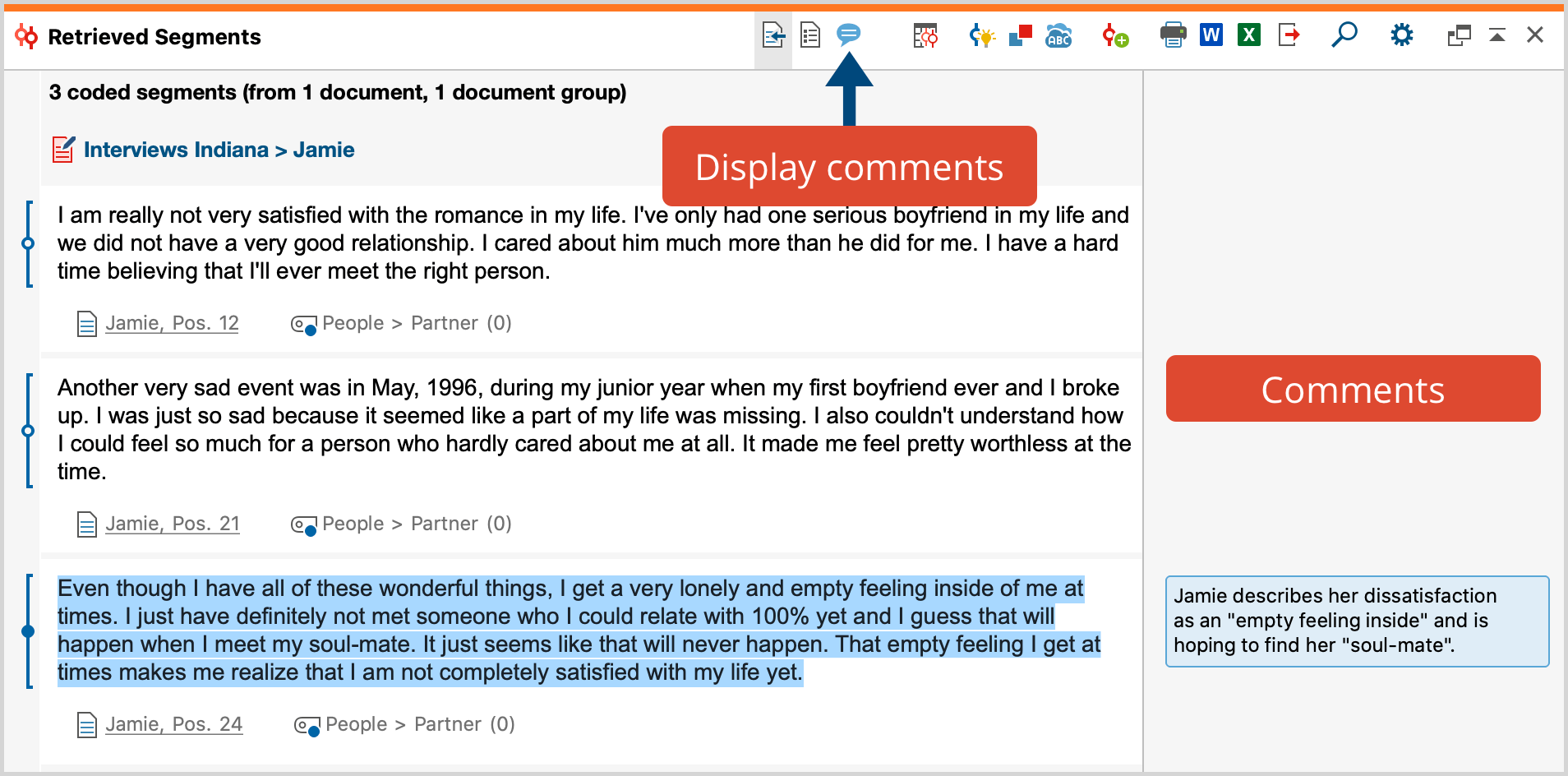 Comment column in the “Retrieved Segments“ window Comment column in the “Retrieved Segments“ window