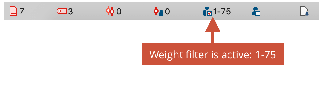 Display of weight filter in the status bar Display of weight filter in the status bar